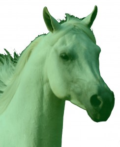 Green Horse Head