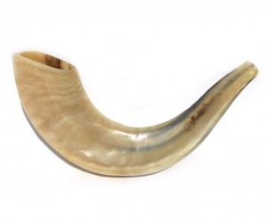 Shofar 2